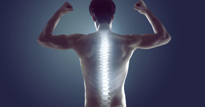 The Importance of Spinal Health for Overall Wellness image