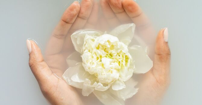 The Importance of Spinal Health for Overall Wellness image